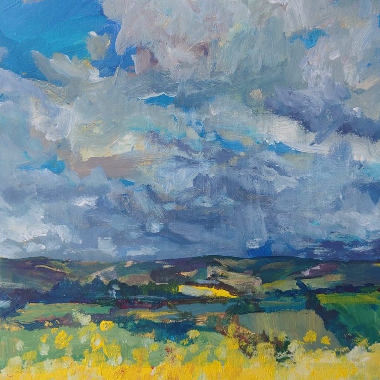 Across the basin landscape, stormy sky, yellow field below.
