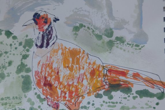 Gentleman Pheasant Monoprinted pheasant